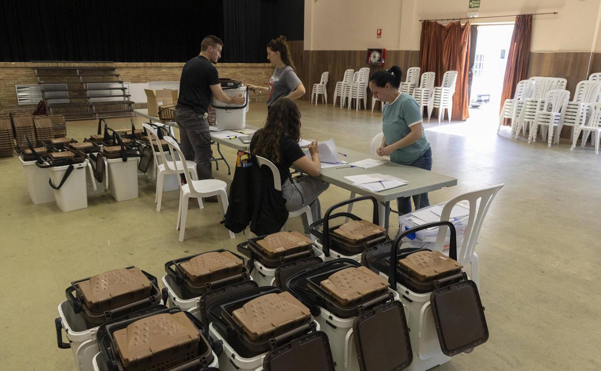 Reparto de cubos en el auditorio de Chella, este lunes.