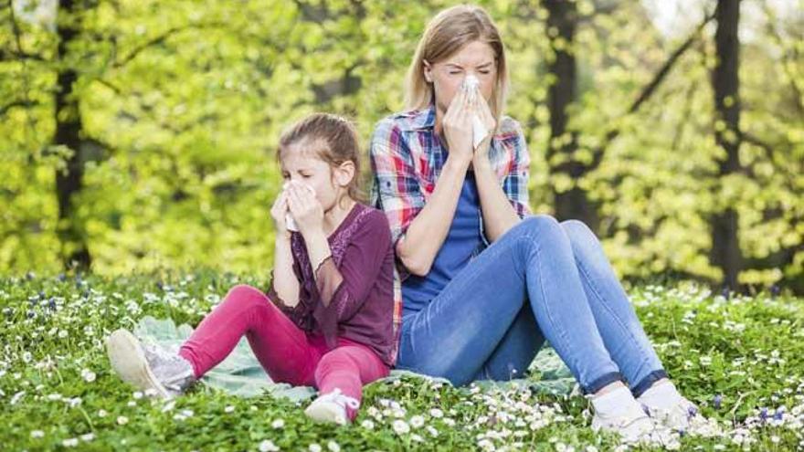 Ocho millones de españoles son alérgicos al polen.
