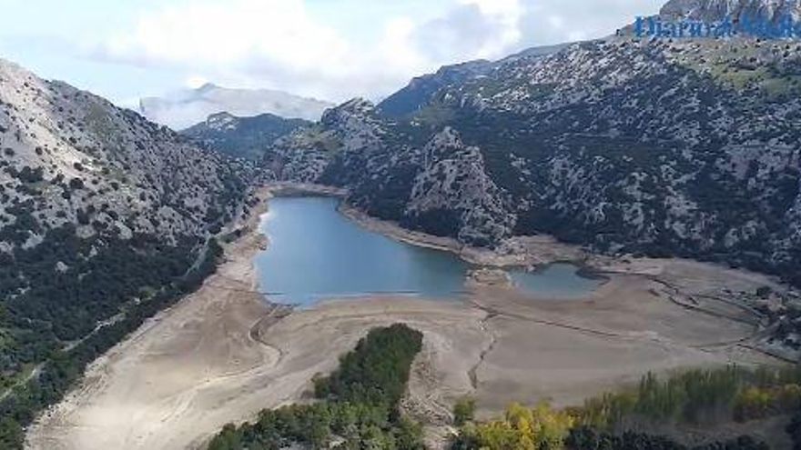 El Govern promueve la restauración de los bosques de ribera de Cúber y Menut