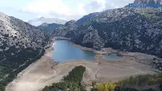 El Govern promueve la restauración de los bosques de ribera de Cúber y Menut