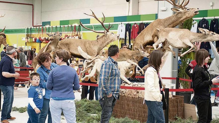 Exposición de animales disecdados en una anterior edición de la Feria de Caza y Pesca.