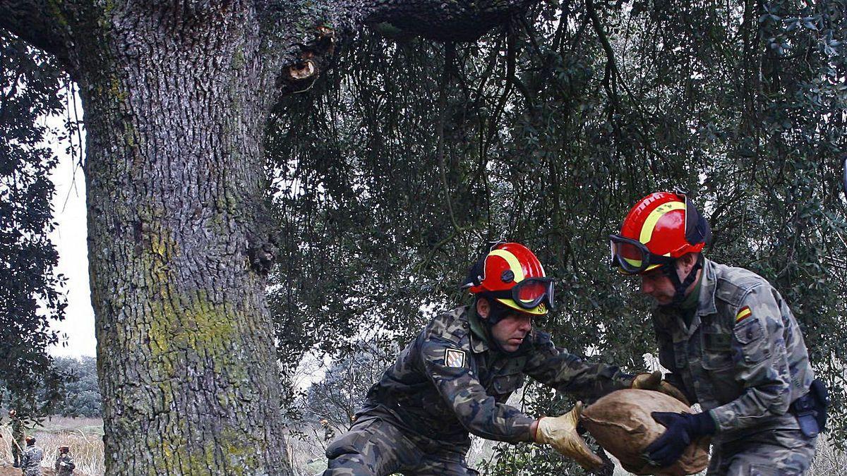 Maniobras militares en Monte la Reina.