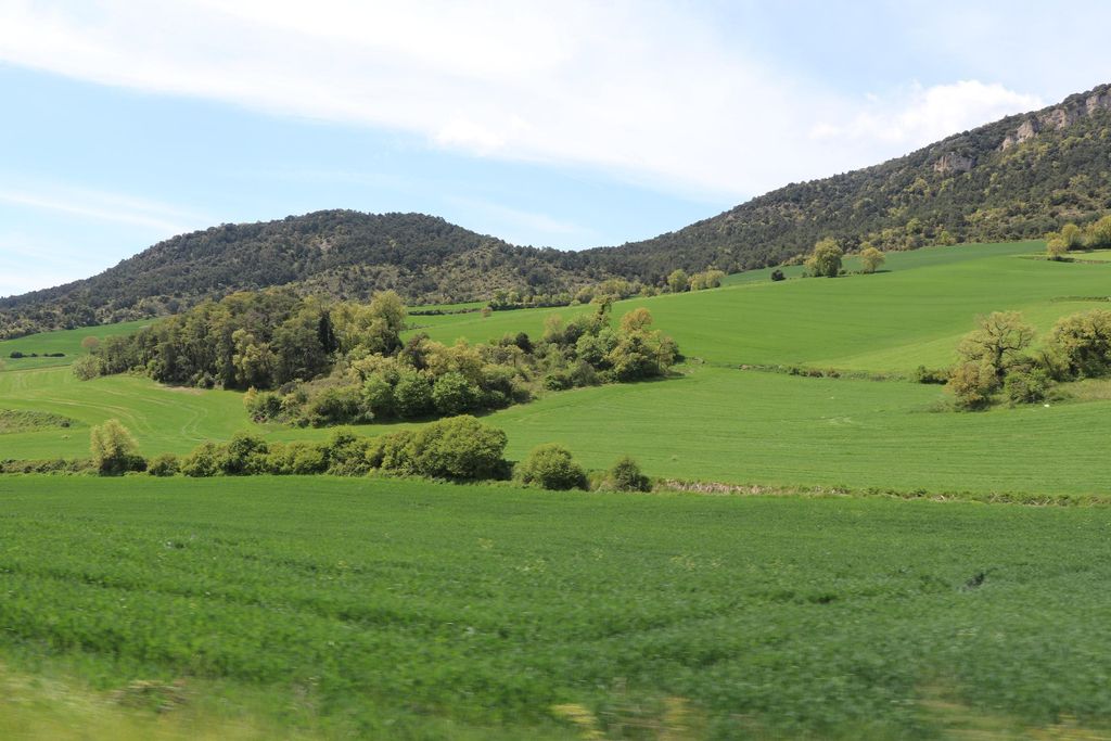 Durante la primavera los campos de Valdegovía son perfectos para hacer rutas de senderismo