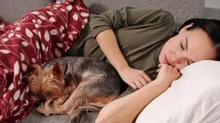 Los expertos en sueño lo aclaran: dormir con mascotas puede darte seguridad, pero también empeorar tu descanso