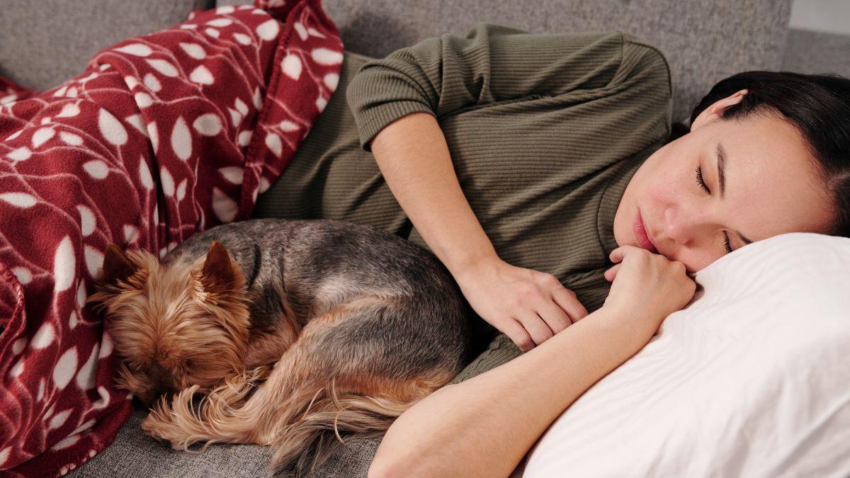 Los expertos en sueño lo aclaran: dormir con mascotas puede darte seguridad, pero también empeorar tu descanso