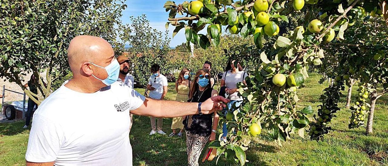 Orlando Villamayor, ayer, mostrando la plantación de que dispone la Sidrería Rabiosa en el lugar de Parada de Pardemarín.