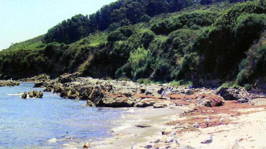 Cuarzo. Esta playa de Ons es ejemplo de plataforma de abrasión eemiense, con arenas de cuarzo muy redondeadas y cementadas por una matriz ferruginosa que la da ese color anaranjado.