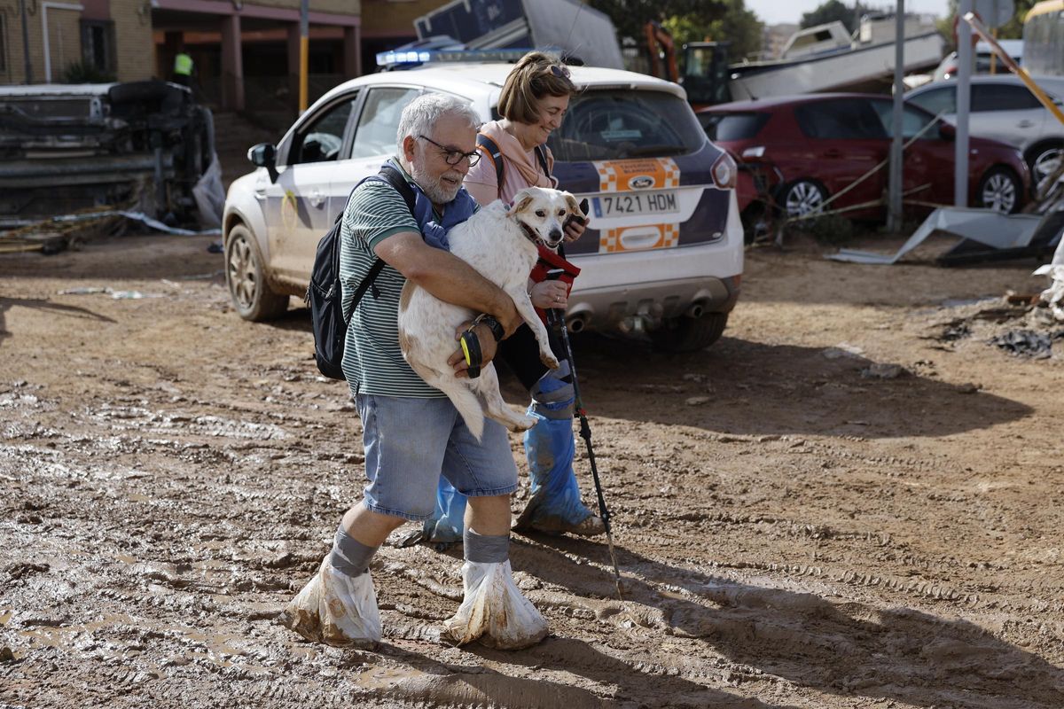 Un hombre ayuda a su perro en una de las zonas afectadas por la DANA.