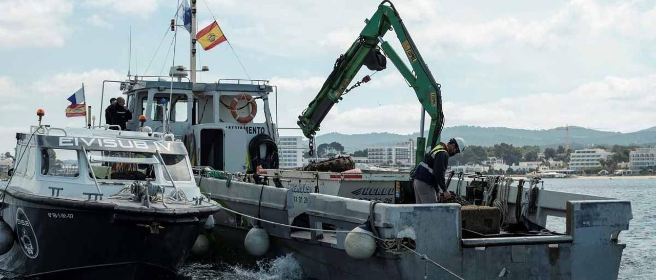 Sant Josep inicia la retirada de 156 muertos del fondo de la bahía de Portmany