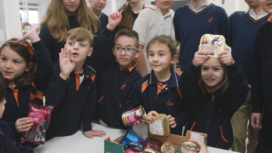 Infantil se volcó en la aportación de comida para las mascotas de Progape.