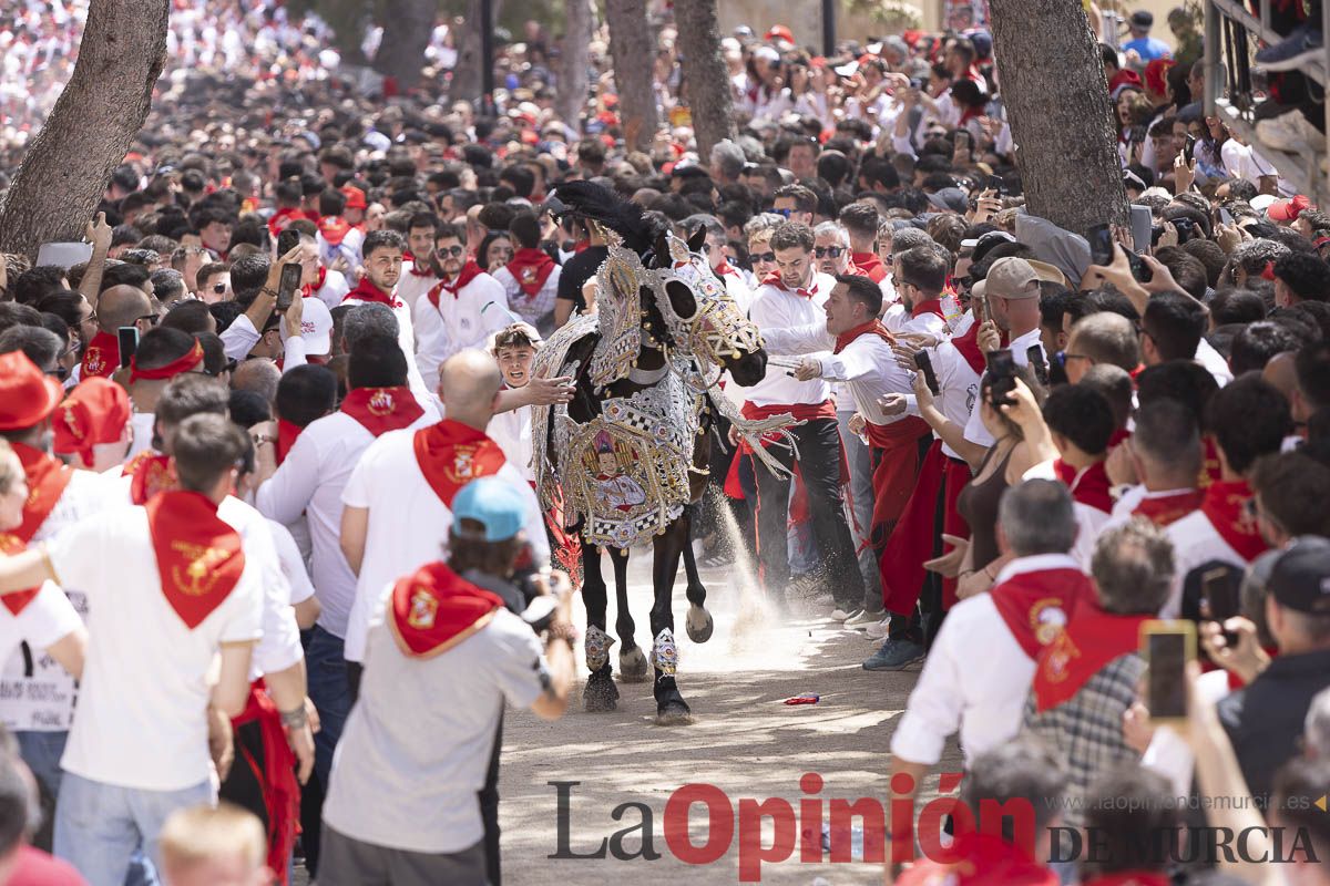 Así se ha vivido la carrera de Los Caballos del Vino en Caravaca