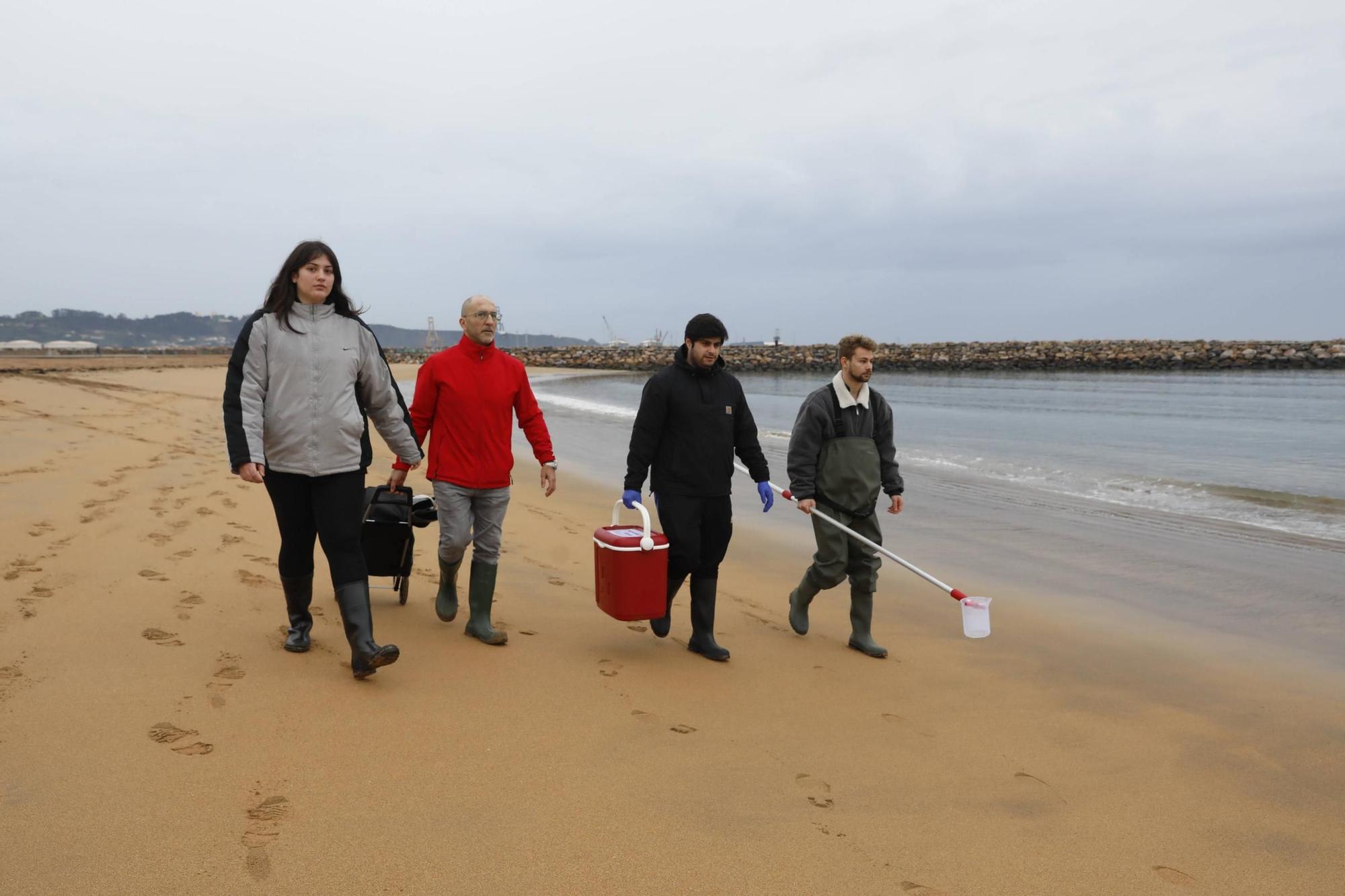 Estudiantes del IES Nº 1 controlan la calidad ambiental de las playas de la mano del Oceanográfico (en imágenes)