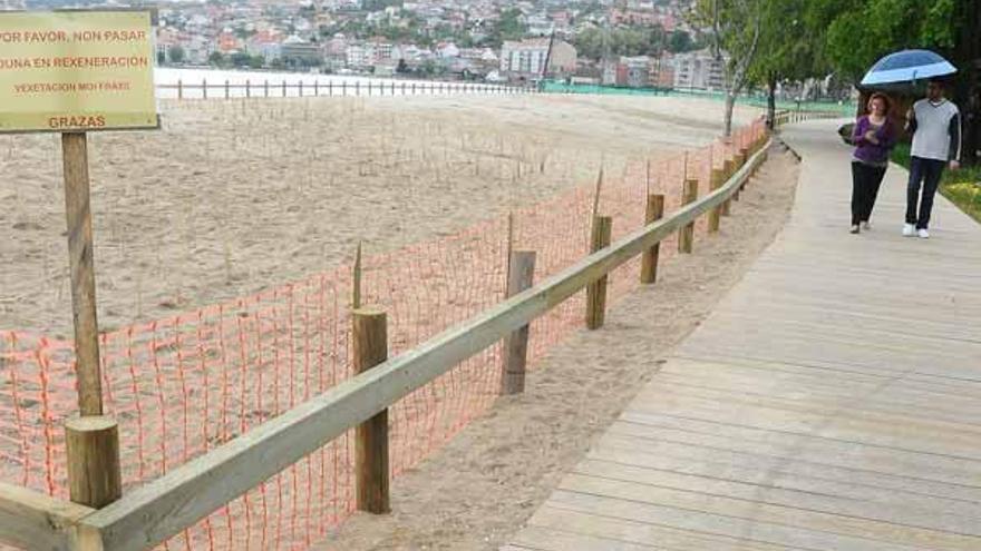 Ya ha empezado a crecer la flora típica de las dunas.