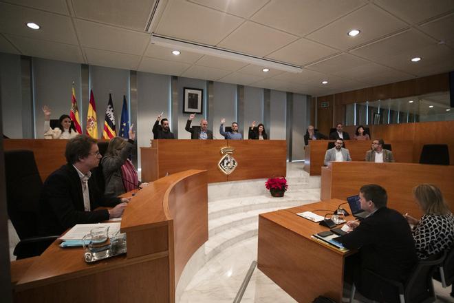 Todas las imágenes del pleno del Consell de Ibiza donde se han aprobado los presupuestos.