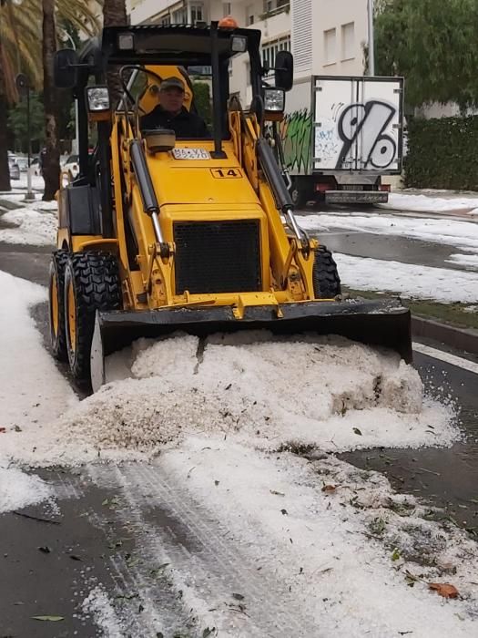 Excavadoras en El Limonar y Mayorazgo.