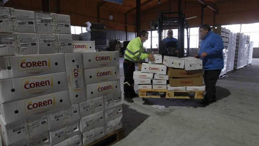 Entrega de productos para el Banco de Alimentos, por parte del grupo Coren. // Jesús Regal