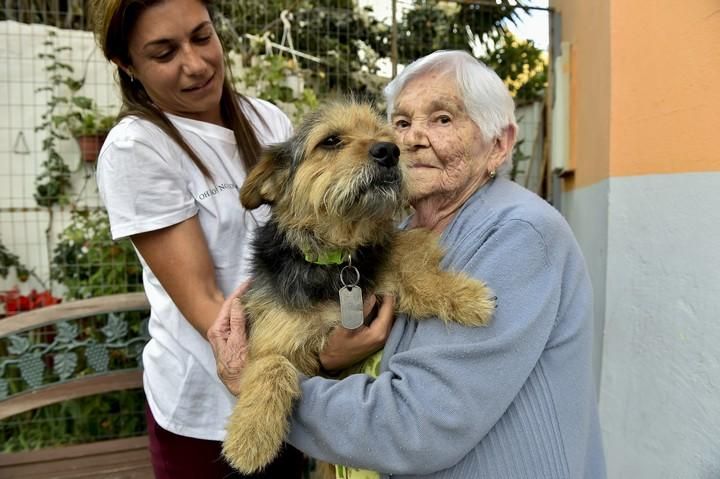 PANCHO UN PERRO MUY PARTICULAR