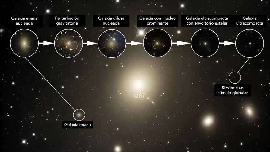 El eslabón perdido de las galaxias ultracompactas