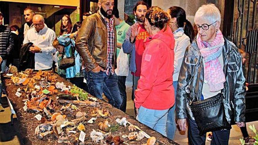 Exposició de bolets de l&#039;edició de l&#039;any passat