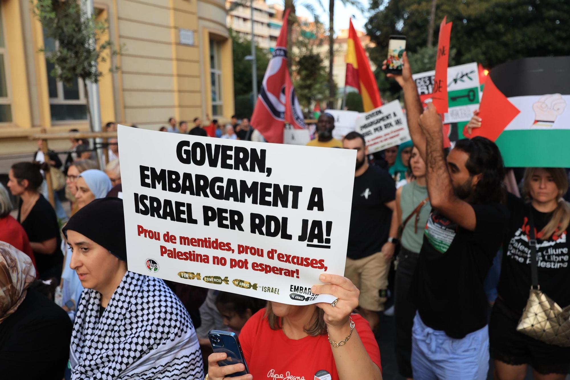 Galería de imágenes: Castellón sale a la calle en defensa de Palestina