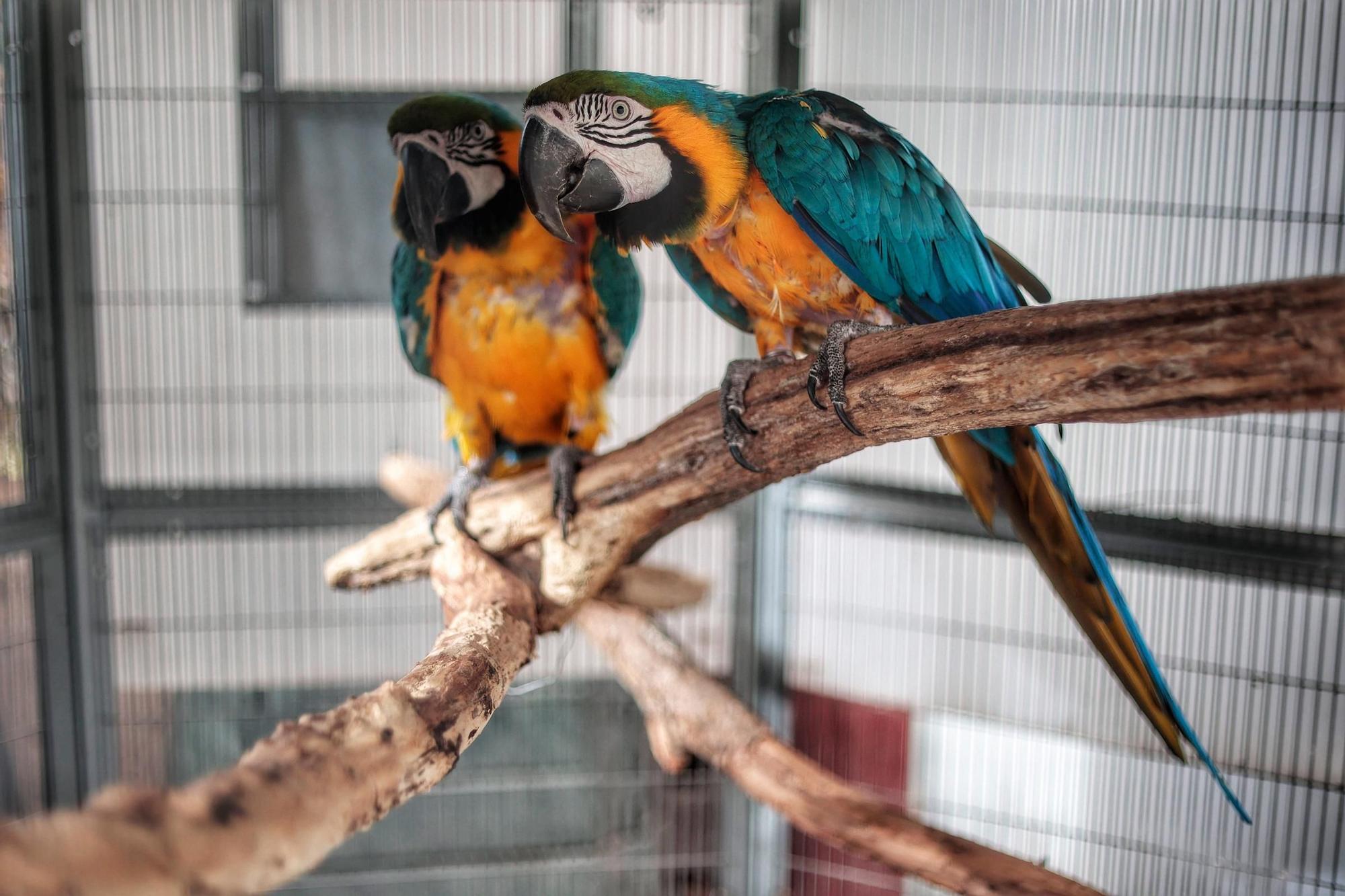 Centro de Fauna Exótica de Santa Cruz