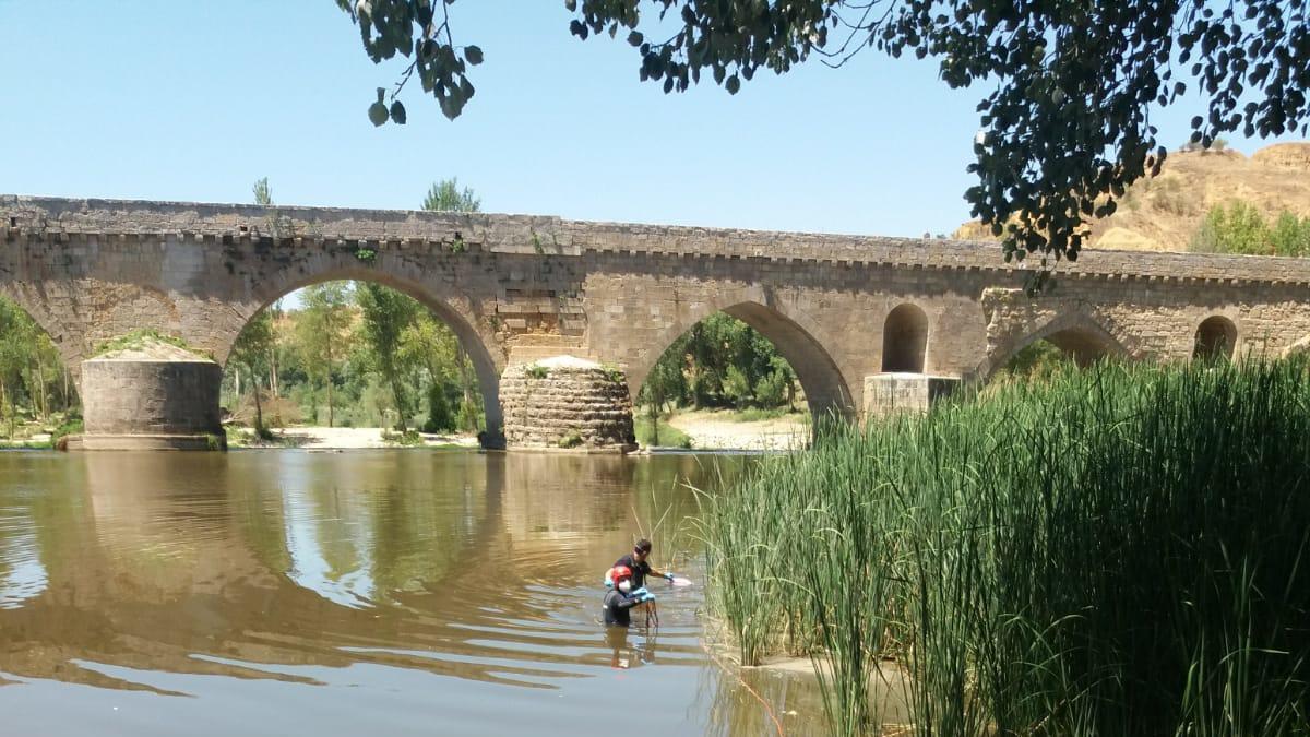 Uno de los bomberos en el río Duero.