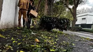 Tenerife concentra buena parte de las incidencias por la borrasca Emilia, con más de 340 actuaciones