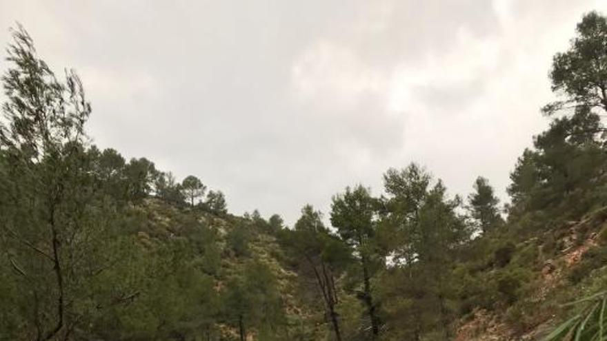 Derrumbes, inundaciones y pinos caídos al paso de la tormenta &#039;Hugo&#039; por Mallorca