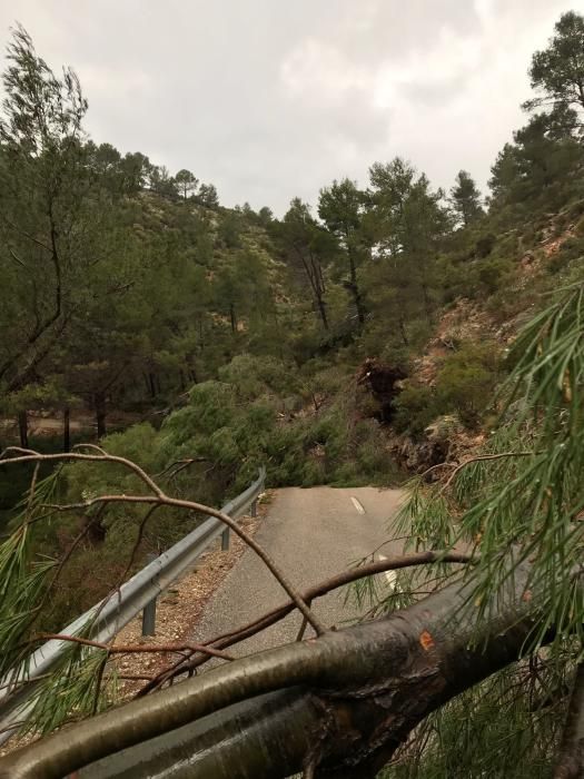Derrumbes, inundaciones y pinos caídos al paso de la tormenta 'Hugo' por Mallorca