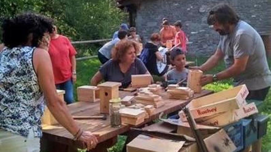 El taller de construcció de caixes niu, una de les activitats d&#039;estiu