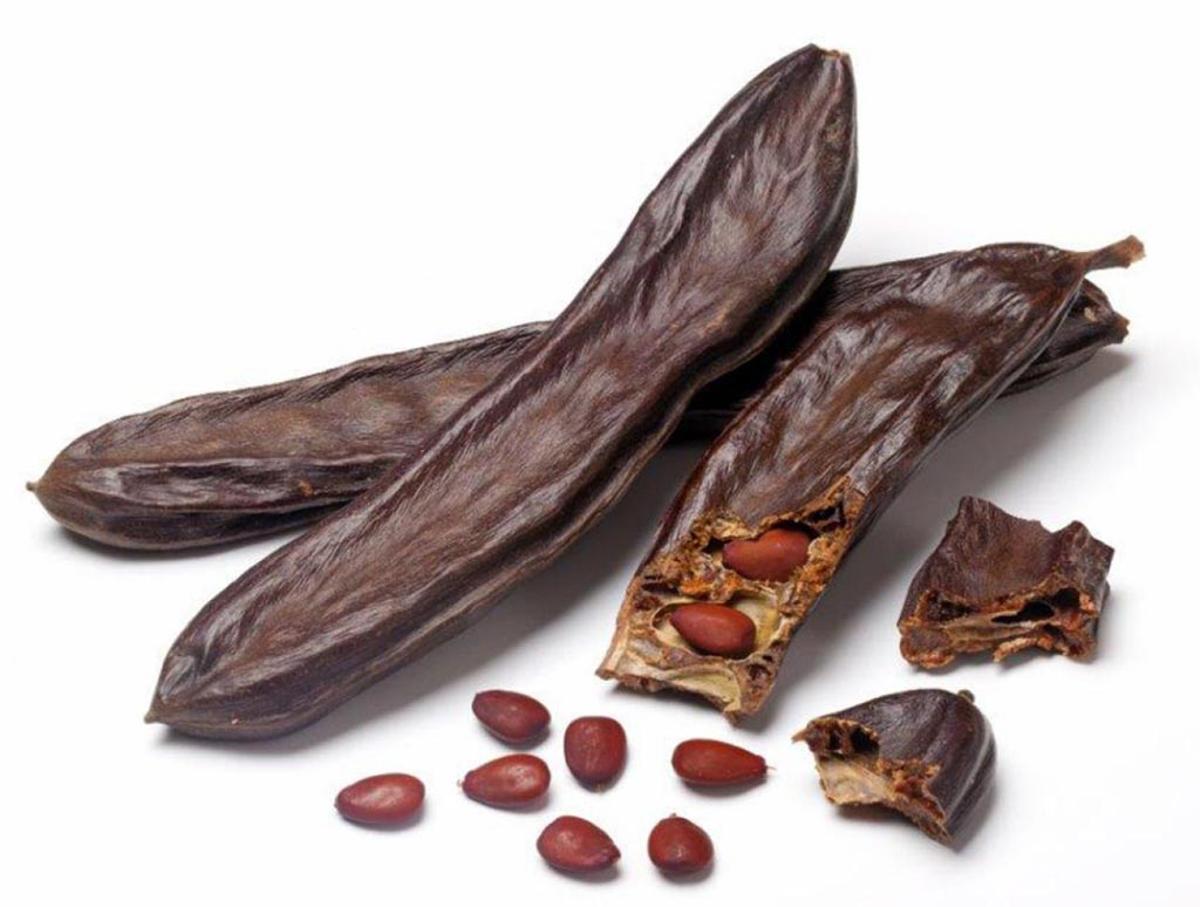La algarroba ya es usada en muchos lugares para fabricar chocolate