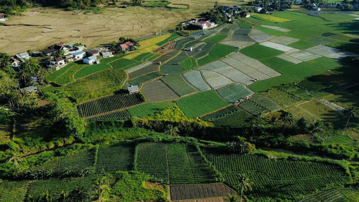 Paisaje agrícola.