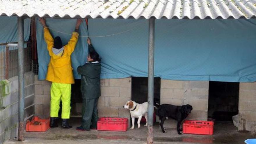Los voluntarios instalaron plásticos entre las jaulas para proteger a los animales.  // Noé Parga
