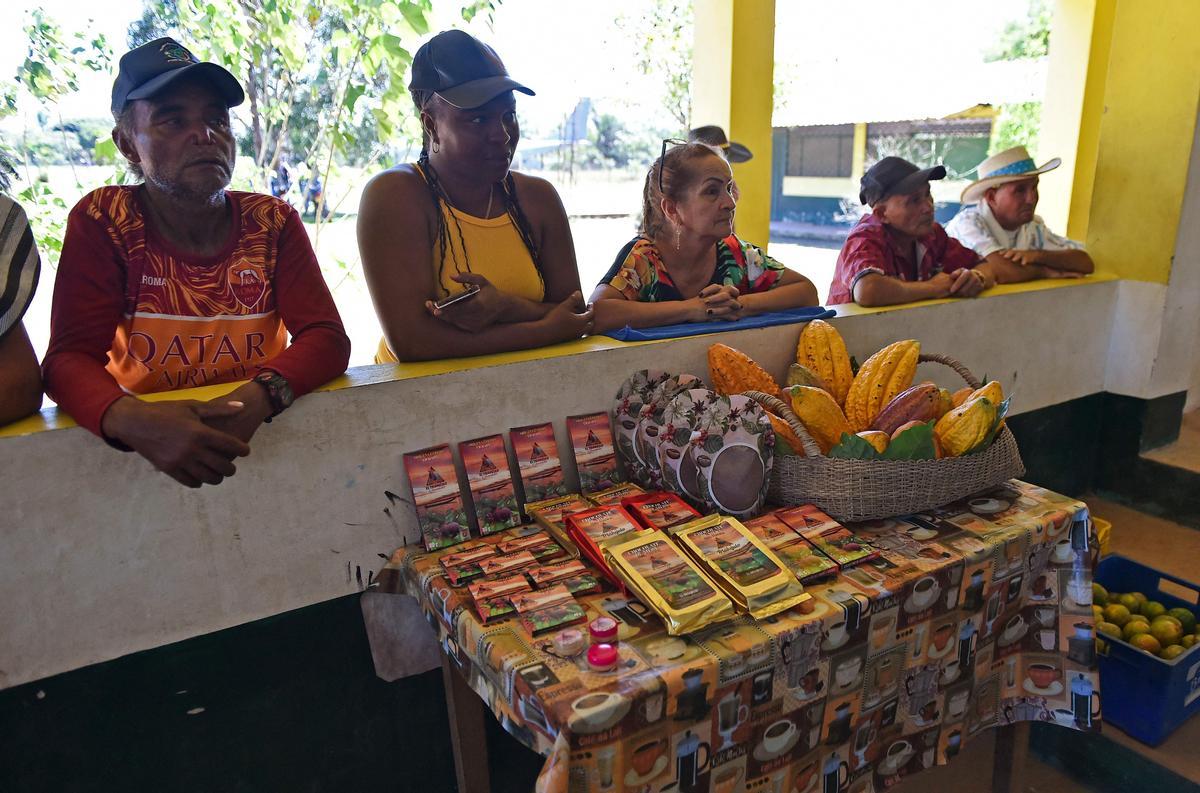 Desde hace diez años en Guerima, Colombia, los árboles de cacao reemplazan a los arbustos de coca en este departamento del tamaño de Guatemala, fronterizo con Venezuela. Está lejos de la bonanza que trajo el ingrediente principal de la cocaína, pero se ha convertido en una fuente estable de ingresos.