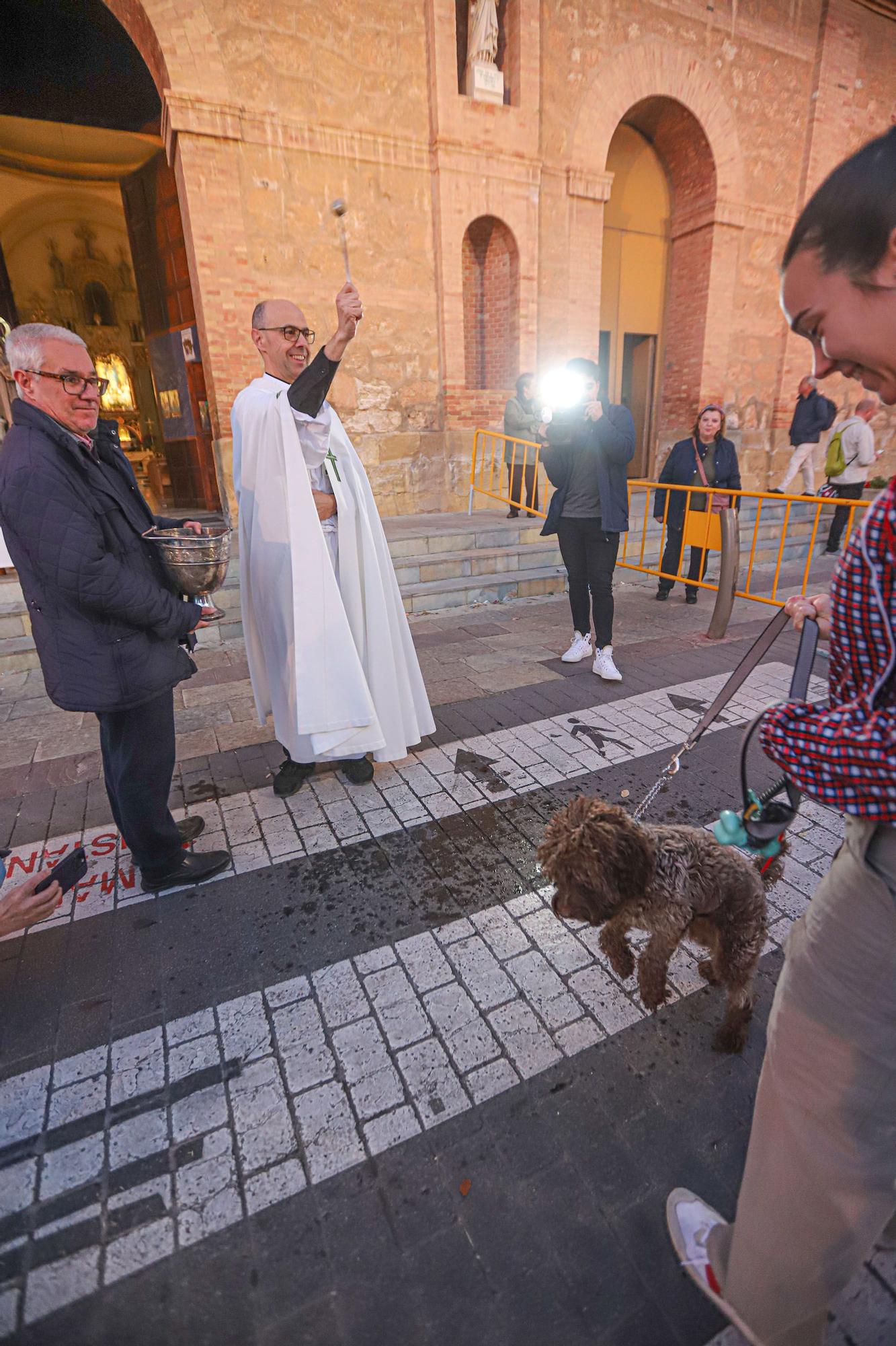 Bendición de San Antón en Torrevieja