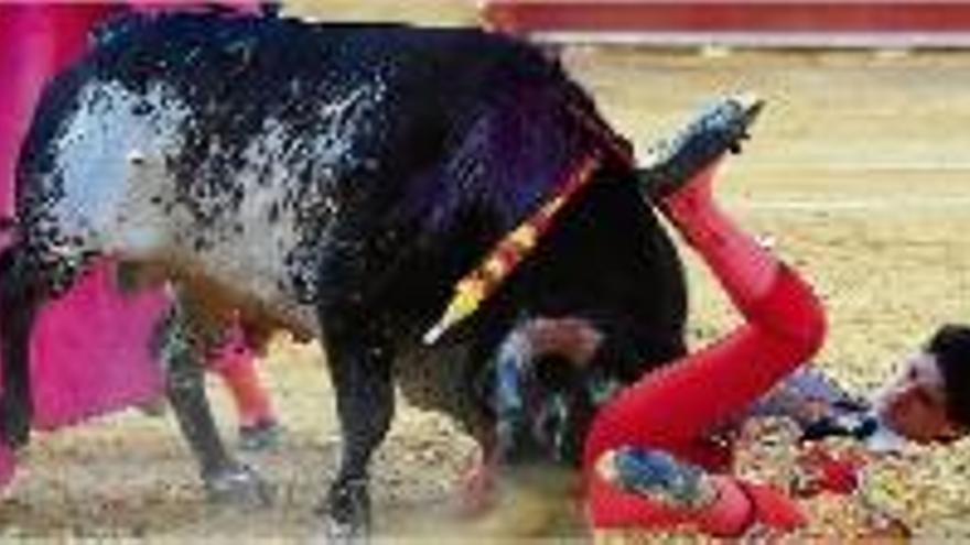 El torero, durant l&#039;agafada del toro.