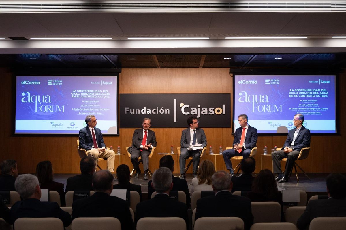 Mesa redonda, La sostenibilidad del ciclo urbano del agua en el contexto actual