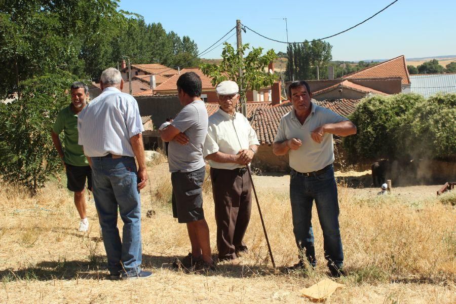 El Maderal disfruta de los encierros taurinos