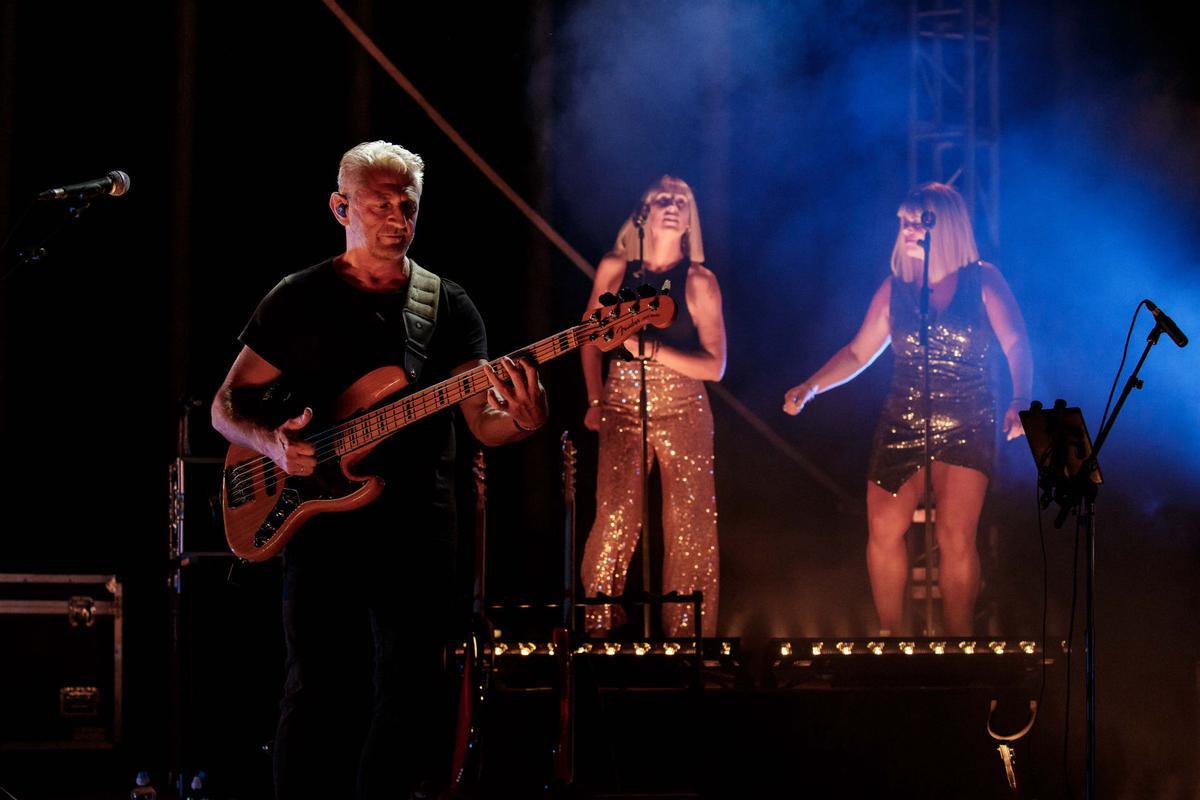 Bajista Tributo Pink Floyd