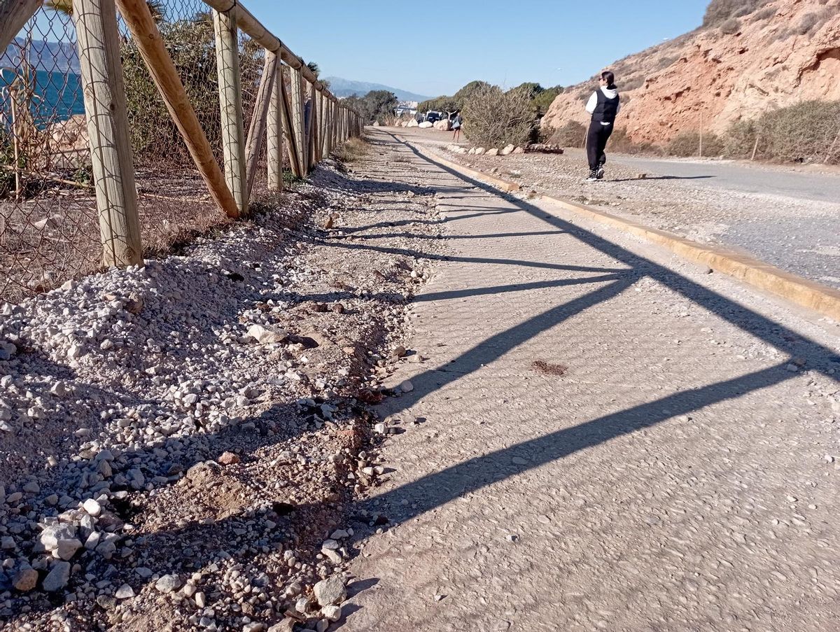 Otro detalle del carril bici.