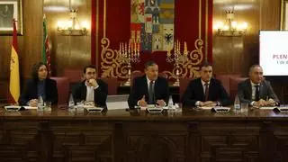 La Diputación de Zamora da por fin "carpetazo" a Sodeza