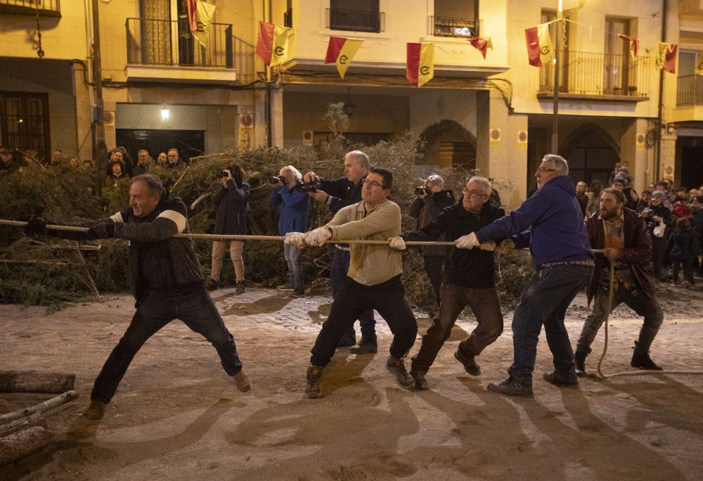 Sant Antoni arranca en Sagunt con la tradicional Plantà del Pi