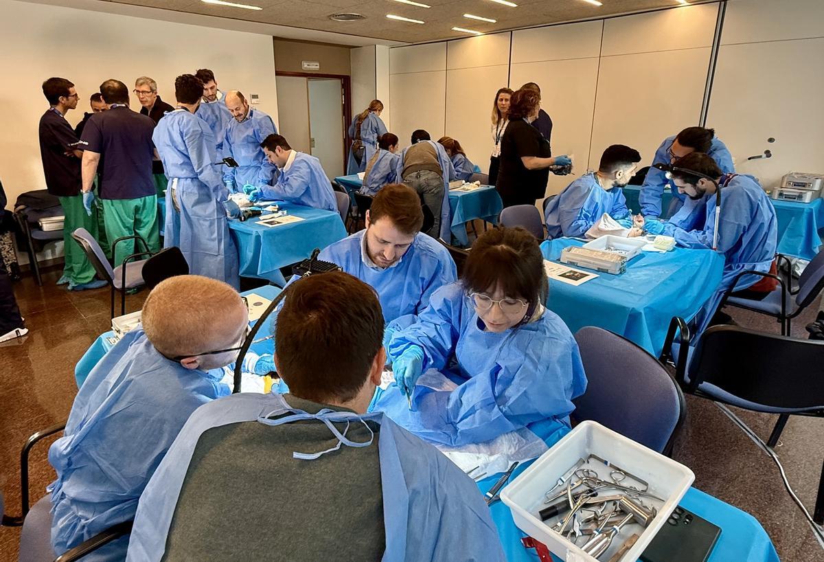 Formación de especialistas en Traumatología en el Hospital General de Alicante