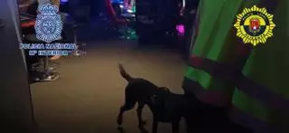 Un dispositivo policial en salas de apuestas de Alicante acaba con 11 propuestas de sanción