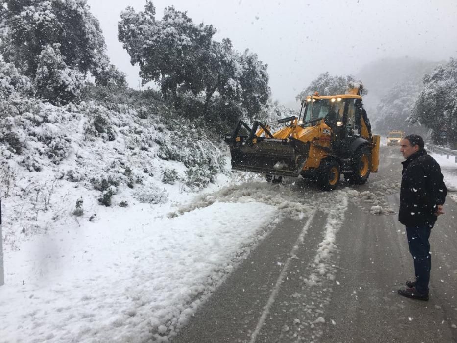 Las primeras nevadas llegan al Puerto del León, en los Montes de Málaga, que se sitúa a 900 metros de altura