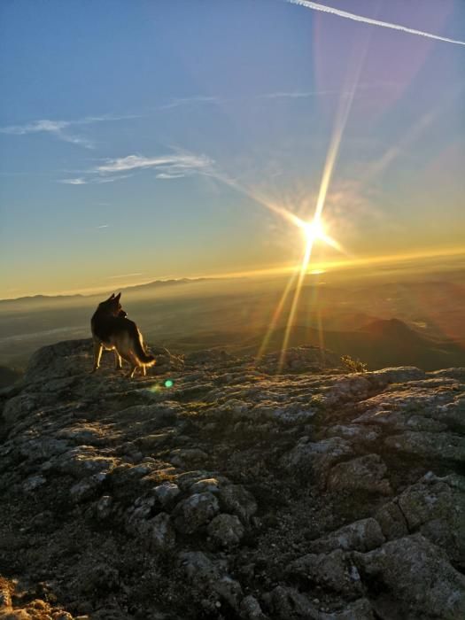 Un cel net i clar rep el primer sol del 2019