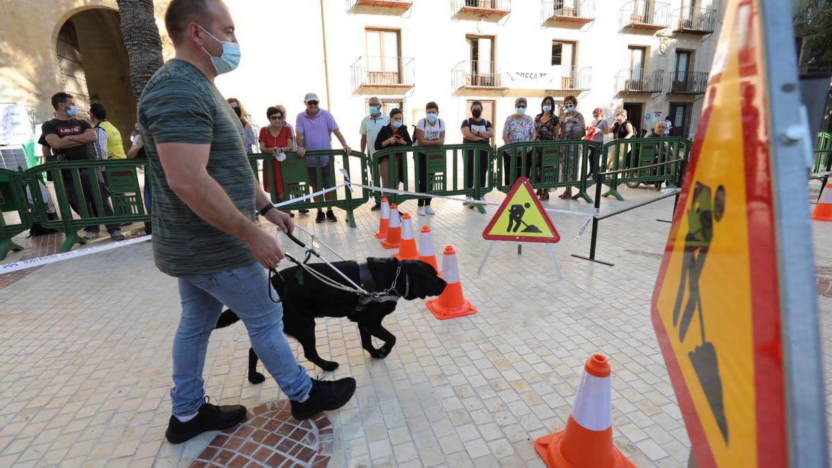 Exhibición de perros guía en el centro de Elche