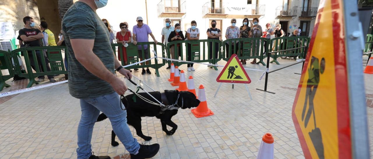 Exhibición de perros guía en Elche para sensibilizar