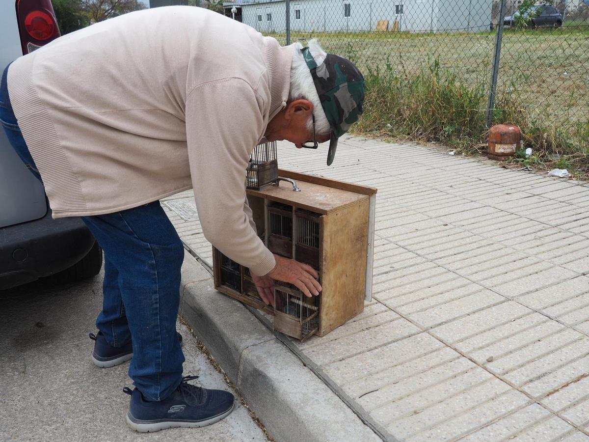José Soler Terol, presidente de la Agrupación Ornitológica de Alzira, con algunos de sus pájaros silvestres.