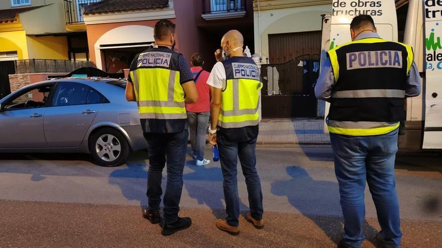 Intervienen 250 plantas de marihuana en una casa de Almendralejo